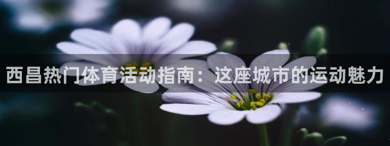 星娱乐文化传媒