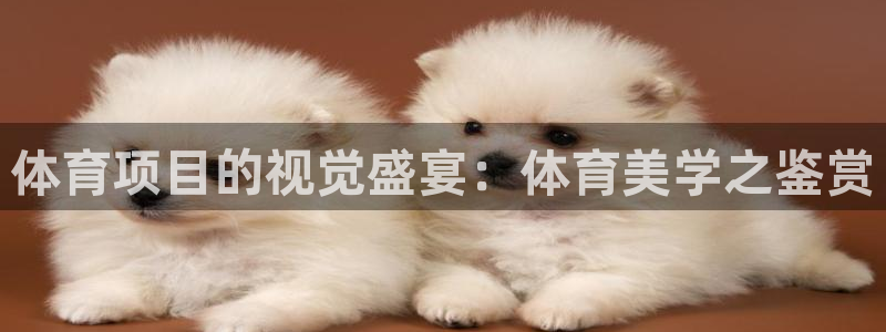 星欧娱乐是正规平台吗安全吗可靠吗