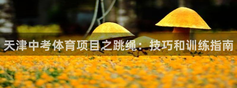 江苏星奥娱乐招艺人