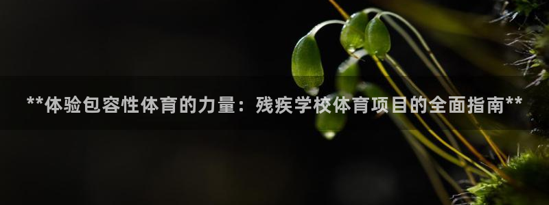星欧娱乐最建议买的三个产品