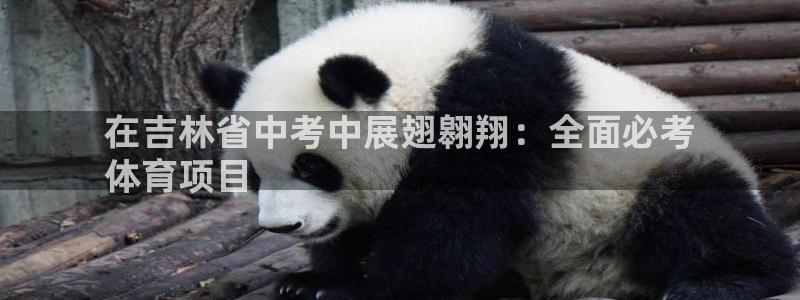 江苏星奥娱乐招艺人