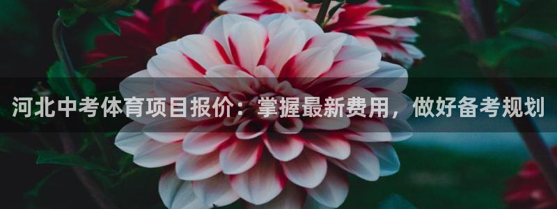 星欧娱乐扣款