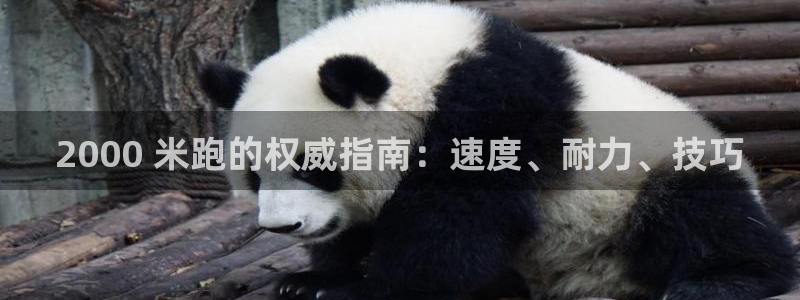星欧娱乐联和哪个品牌合作
