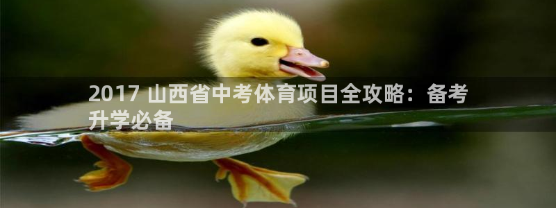 星欧娱乐扣款流程详解图片