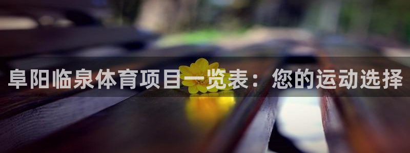 星欧娱乐的创始人背景故事介绍