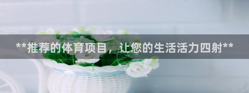 星欧娱乐app最新版本更新内容