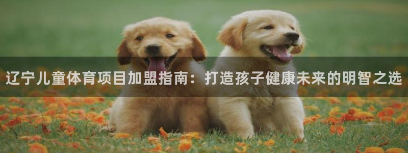 江苏星奥娱乐有限公司招聘
