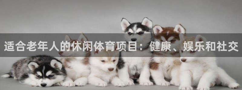 星欧娱乐巴711.112扣费记录查询方法