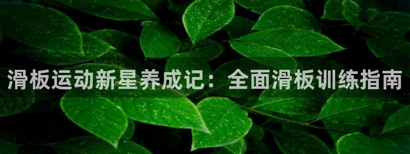 星欧娱乐联最新功能介绍