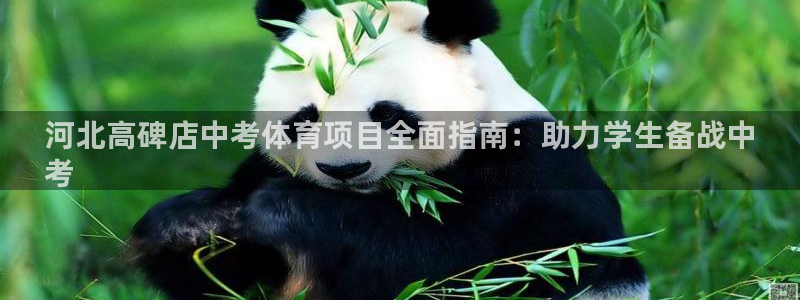 星欧娱乐官网下载安装