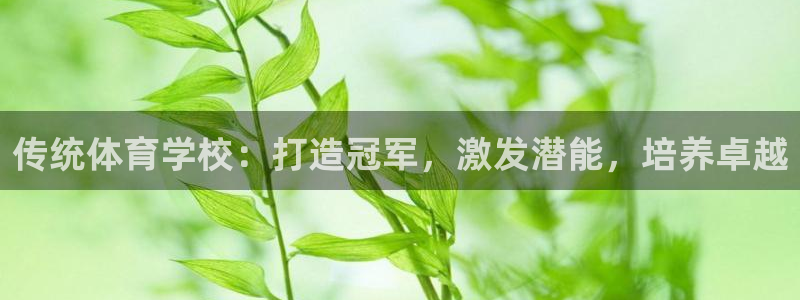 星欧娱乐巴711.112扣费记录查询方法