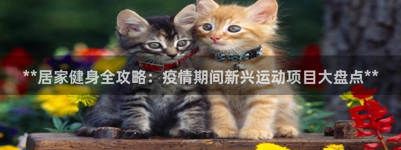 星欧娱乐最建议买的三个产品有哪些