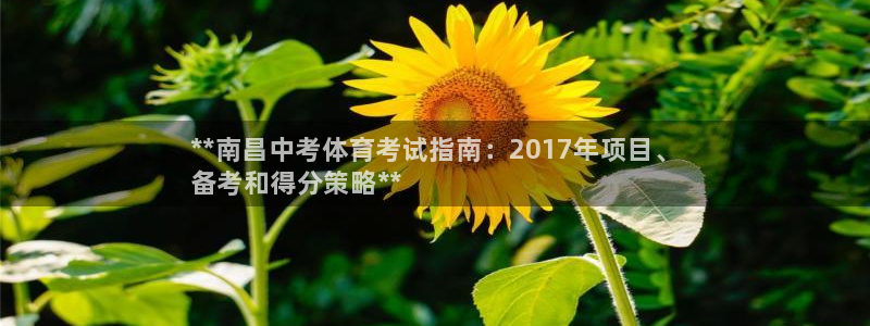 星乐娱乐