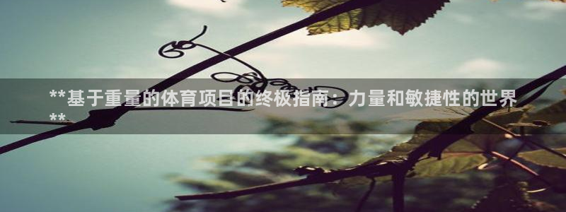 星欧娱乐挂机教程下载