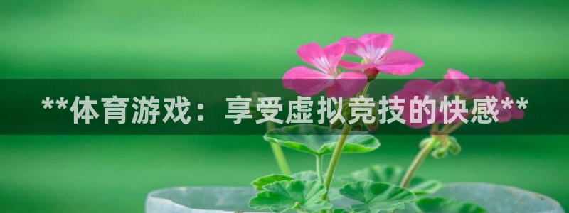 星欧娱乐平台怎么样可靠吗