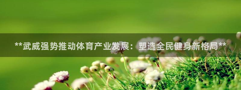 星奥娱乐集团股份有限公司