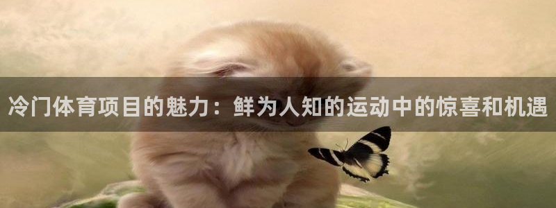 星娱乐是谁的公司