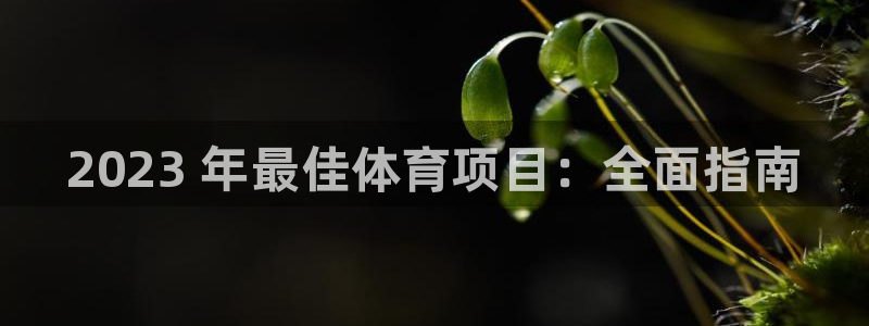 星欧娱乐是正规品牌吗