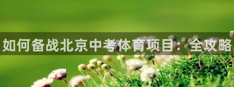 星欧娱乐属于什么档次的软件公司