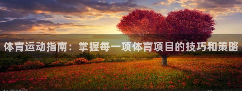 星欧娱乐扣款流程详解