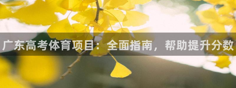 星欧娱乐官方客服联系方式查询