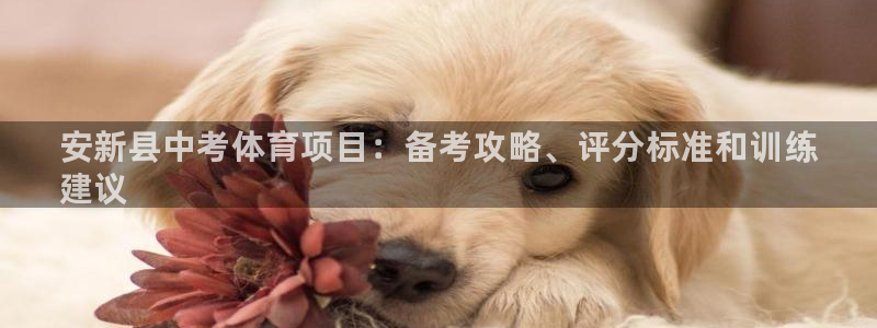 星欧娱乐雀V是什么平台