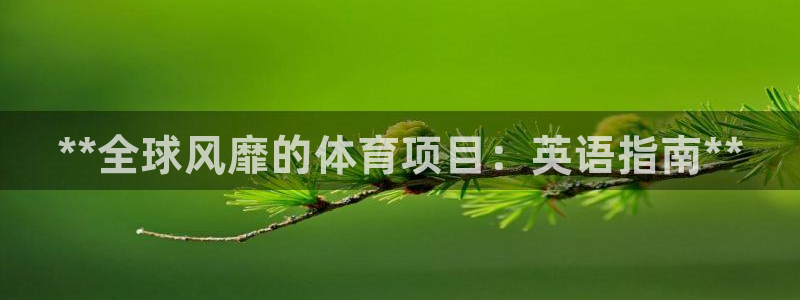 星欧娱乐最建议买的三个游戏